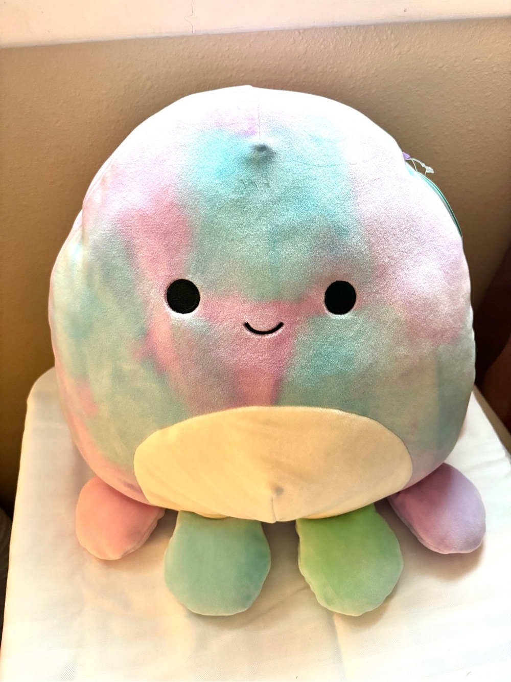 14” Mary Squishmallow